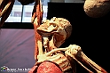 VBS_2895 - Mostra Body Worlds